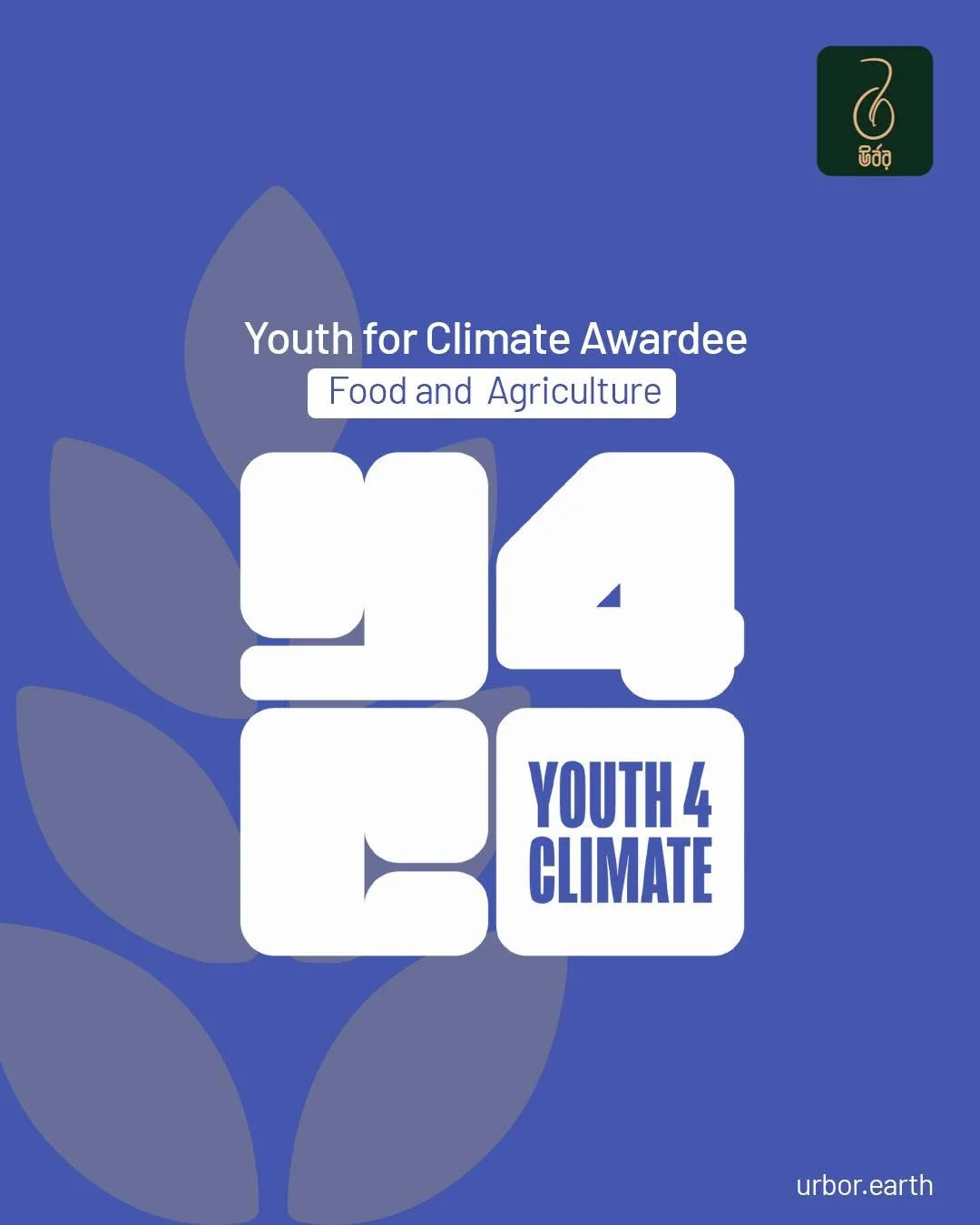 Global Champion — UNDP Youth for Climate Grant